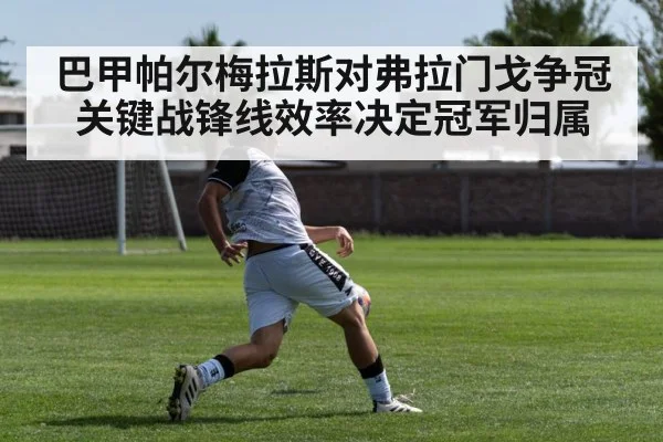 巴甲帕尔梅拉斯对弗拉门戈争冠关键战锋线效率决定冠军归属
